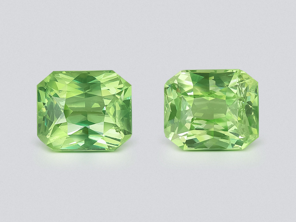 Pair of tsavorite garnets radiant cut  3.30 carats, Africa Image №1