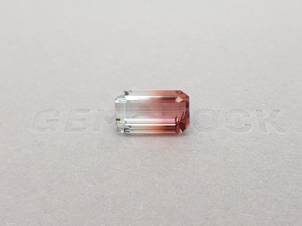 Octagon cut polychrome tourmaline 8.49 ct Image №1
