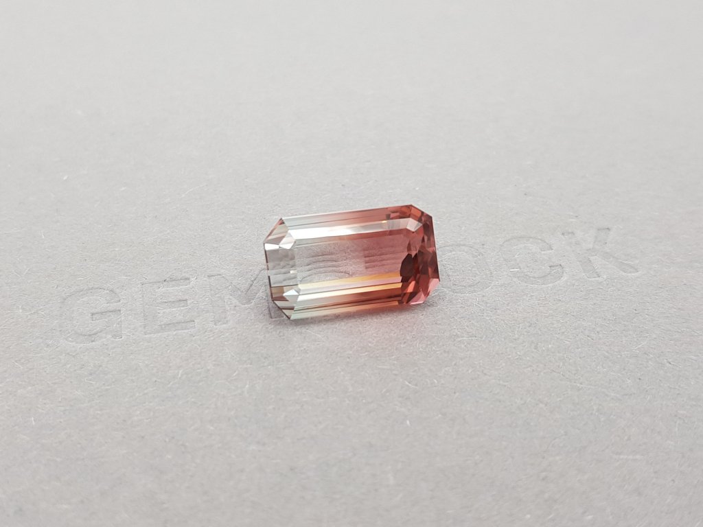 Octagon cut polychrome tourmaline 8.49 ct Image №2