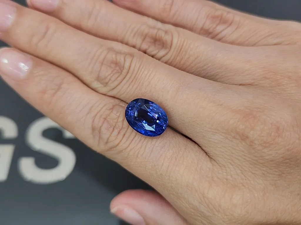 Unheated sapphire Royal Blue oval cut 9.01 carats, Sri Lanka Image №2