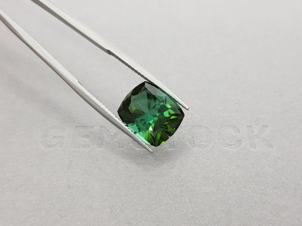 Dark green tourmaline 6.96 ct, Afghanistan, ICA Image №4