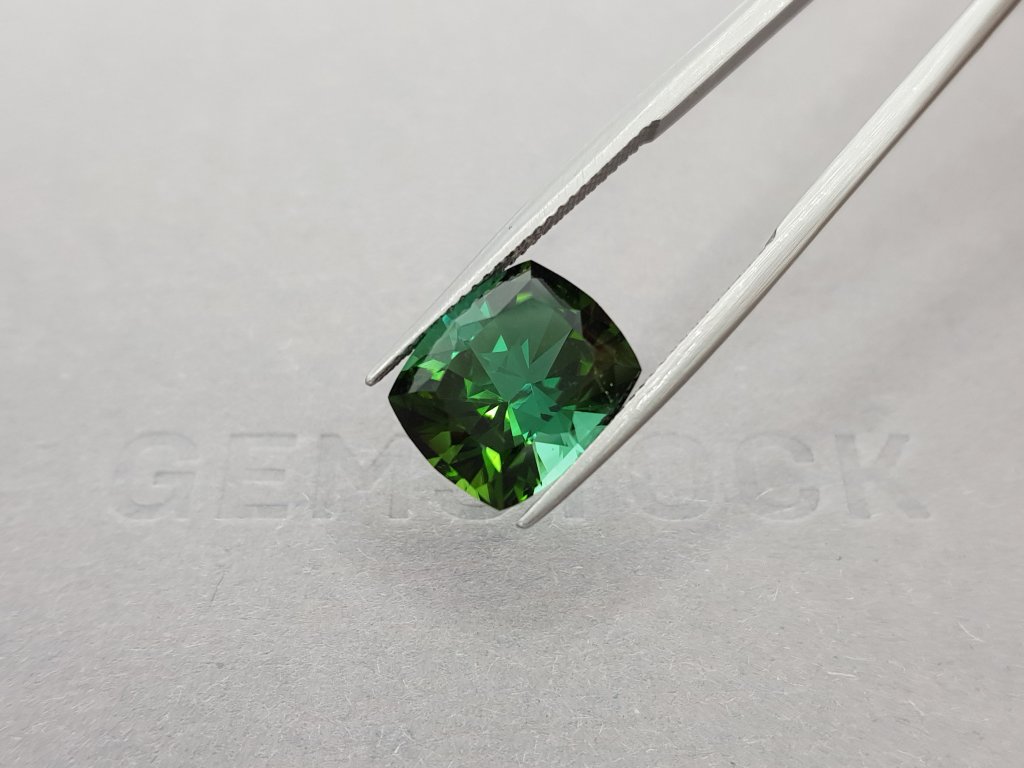 Dark green tourmaline 6.96 ct, Afghanistan, ICA Image №5