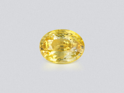 Sapphire Vivid yellow oval cut 1.73 carats, Sri Lanka photo