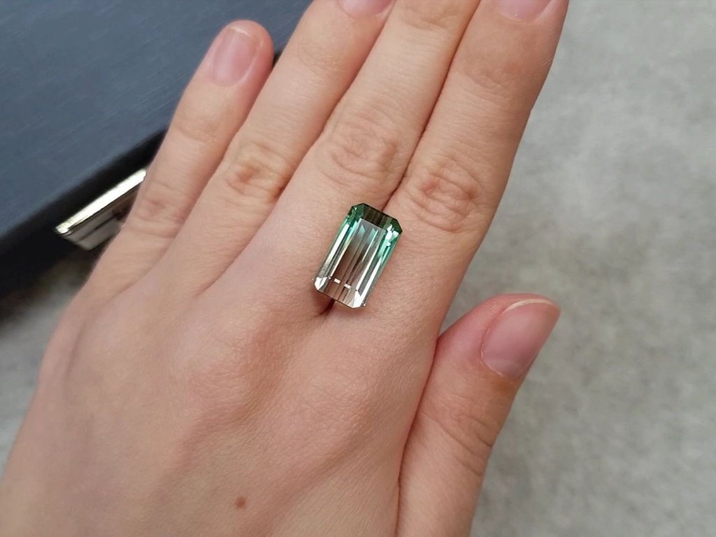 Octagon cut polychrome tourmaline 10.30 ct Image №3