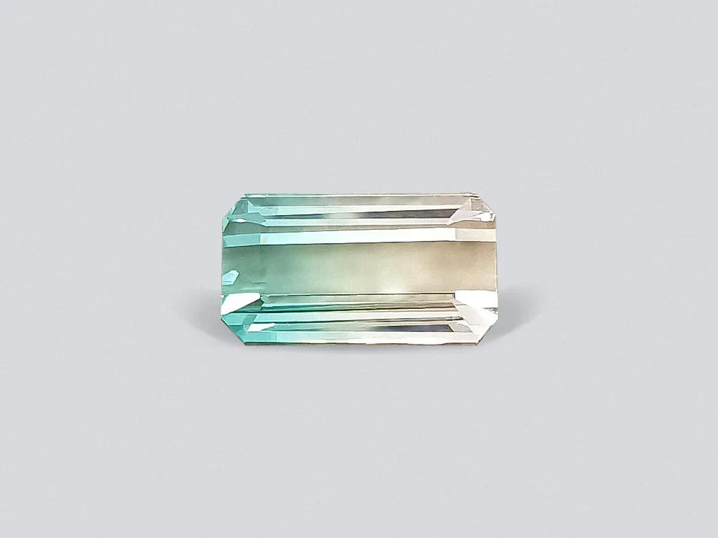 Octagon cut polychrome tourmaline 10.30 ct Image №1