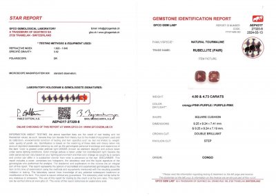 Certificate Pair of vivid red-orange rubellites in cushion cut 9.53 carats, Africa 