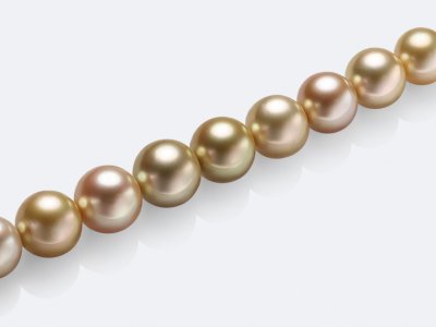 South Sea champagne color 12.0-15.0 mm pearl strand, Myanmar photo