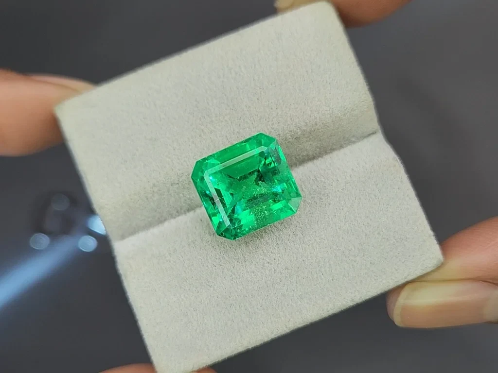 Emerald Mariposa octagon cut 8.41 carats, Colombia Image №4