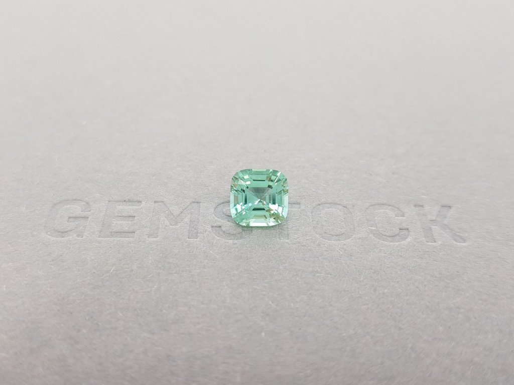 Light mint tourmaline 1.56 ct Image №1