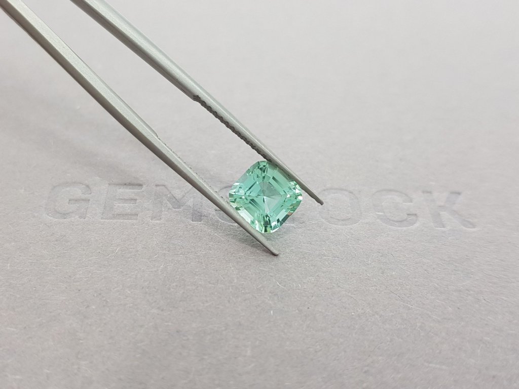 Light mint tourmaline 1.56 ct Image №4