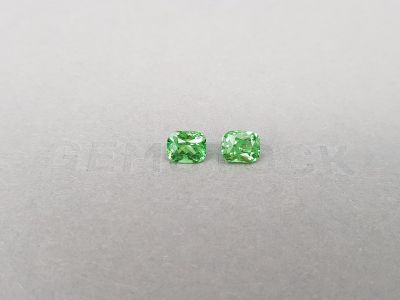 Garnet tsavorite store