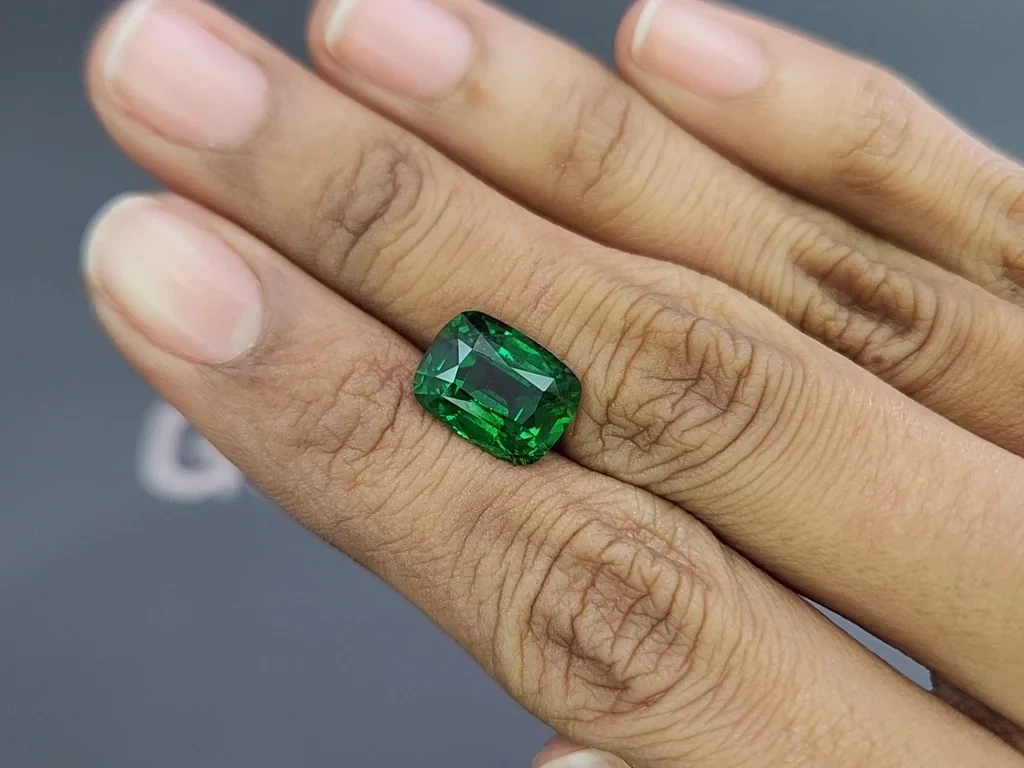 Garnet tsavorite cushion cut 5.49 carats, Africa Image №2