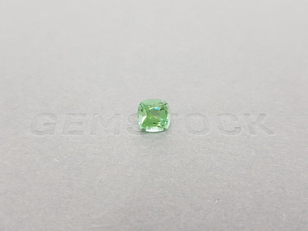 Cushion Verdelite Tourmaline 1.54 ct Image №1