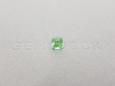 Cushion Verdelite Tourmaline 1.54 ct photo