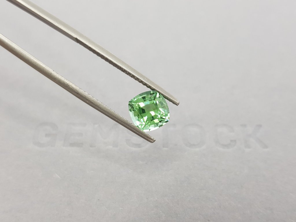 Cushion Verdelite Tourmaline 1.54 ct Image №4