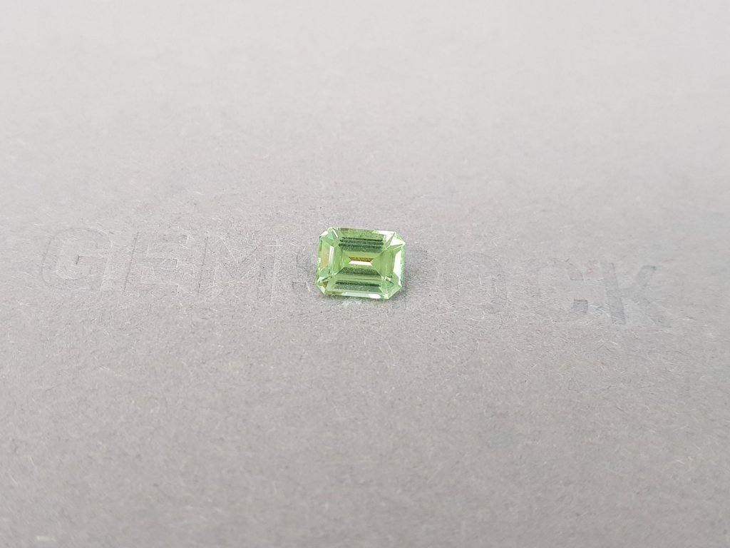 Light green octagon-cut tourmaline 1.02 carats, Nigeria Image №3