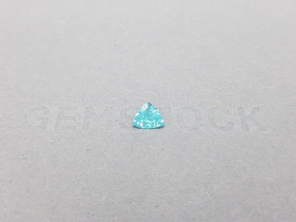 Paraiba tourmaline in a rare cut trillion 0.43 carats Image №1