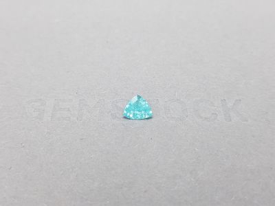 Paraiba tourmaline in a rare cut trillion 0.43 carats photo