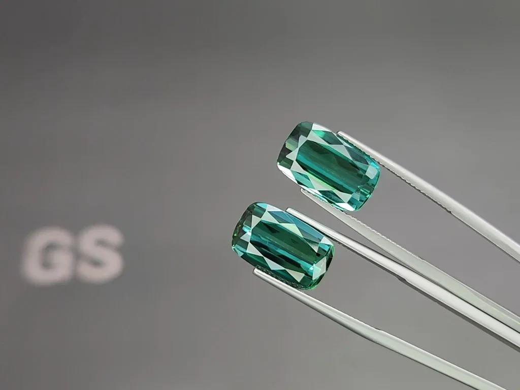 Pair of tourmalines Lagoon cushion cut 17.51 carats, Africa Image №3