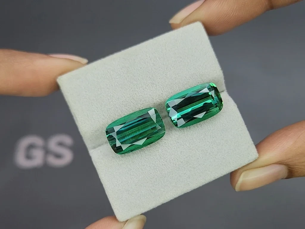 Pair of tourmalines Lagoon cushion cut 17.51 carats, Africa Image №4