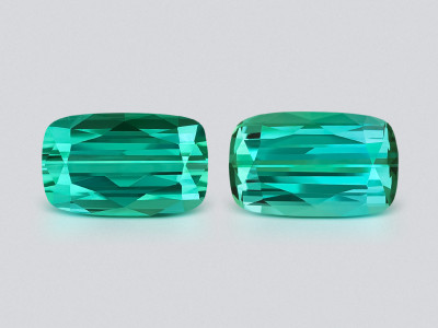 Pair of tourmalines Lagoon cushion cut 17.51 carats, Africa photo