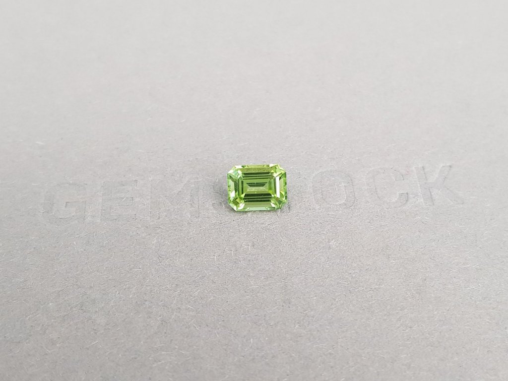 Light green tourmaline in octagon cut 1.10 carats Image №2