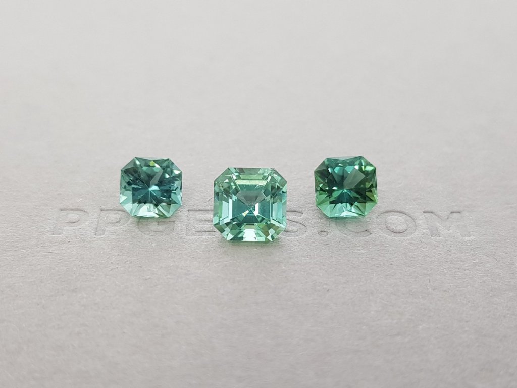 Set of green-mint verdelite 3.69 ct Image №1