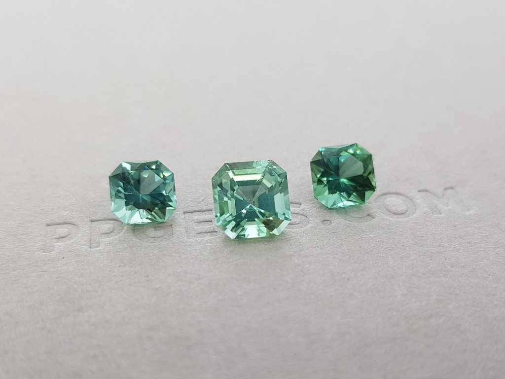 Set of green-mint verdelite 3.69 ct Image №3