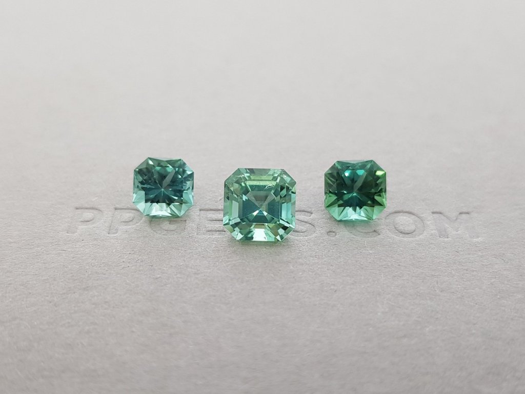 Set of green-mint verdelite 3.69 ct Image №4