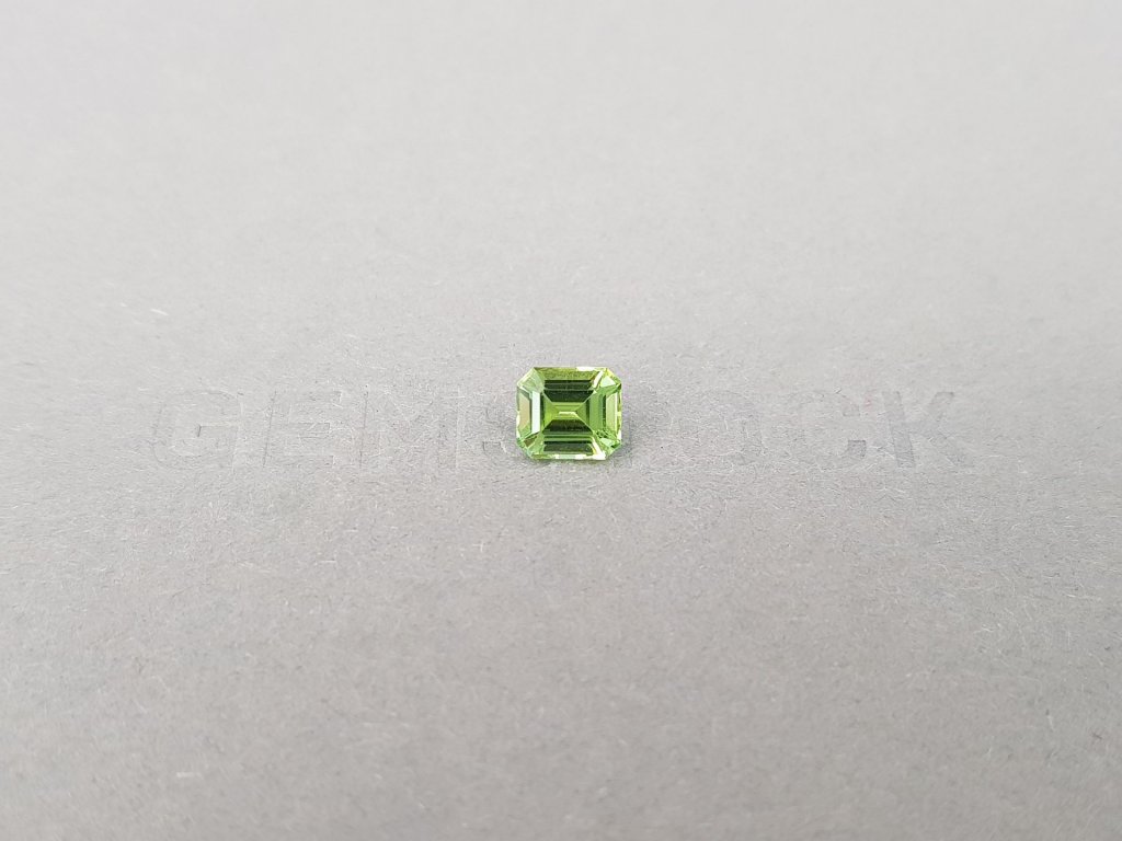 Green tourmaline 1.05 ct from Nigeria in octagon cut  Image №1