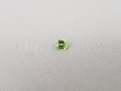 Green tourmaline 1.05 ct from Nigeria in octagon cut  photo
