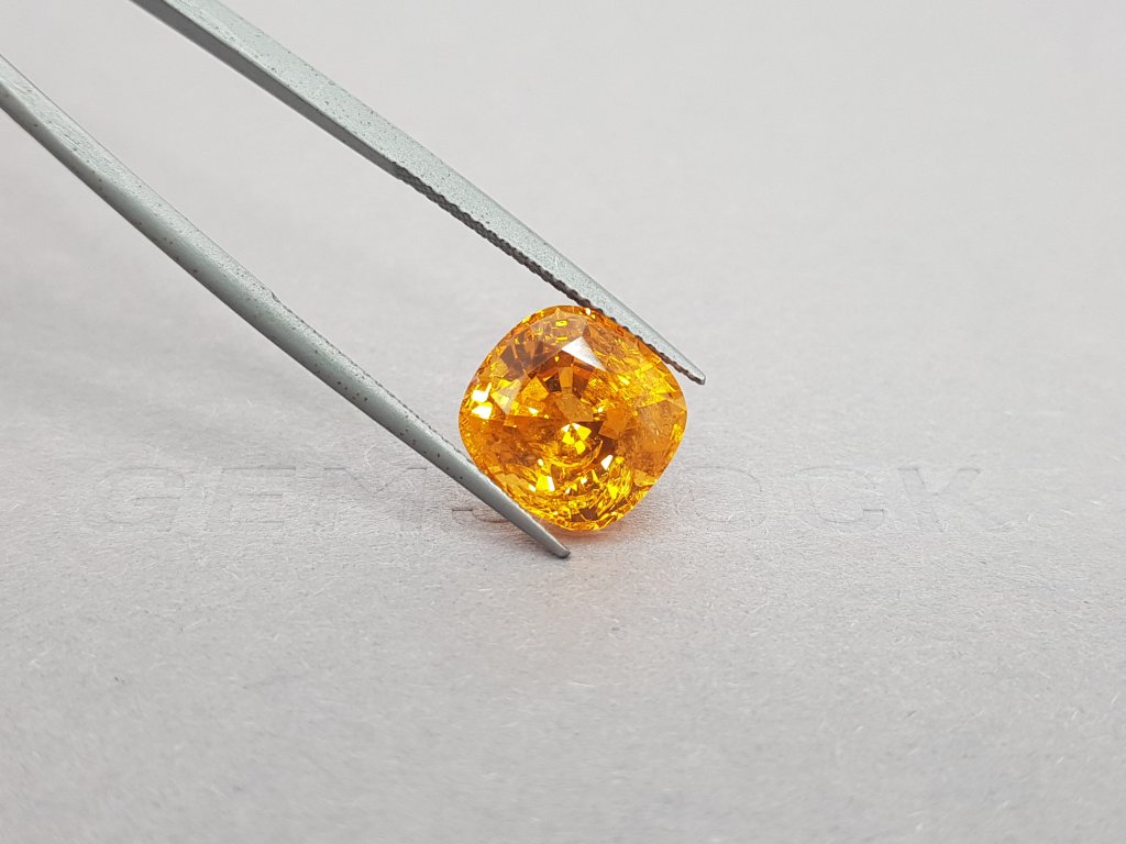 Cushion Spessartine 8.74 ct Image №4