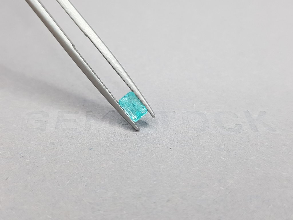 Paraiba blue octagon cut 0.52 ct Image №4