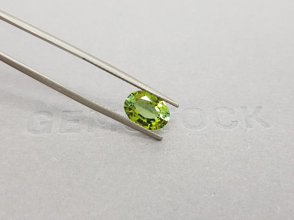 Yellow-green oval cut tourmaline 1.81 ct Image №5