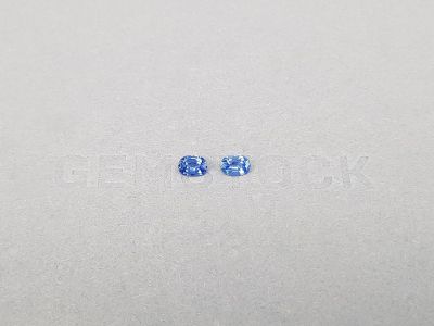 Pair of oval cut Cornflower Blue sapphires 0.53 ct, Sri Lanka photo