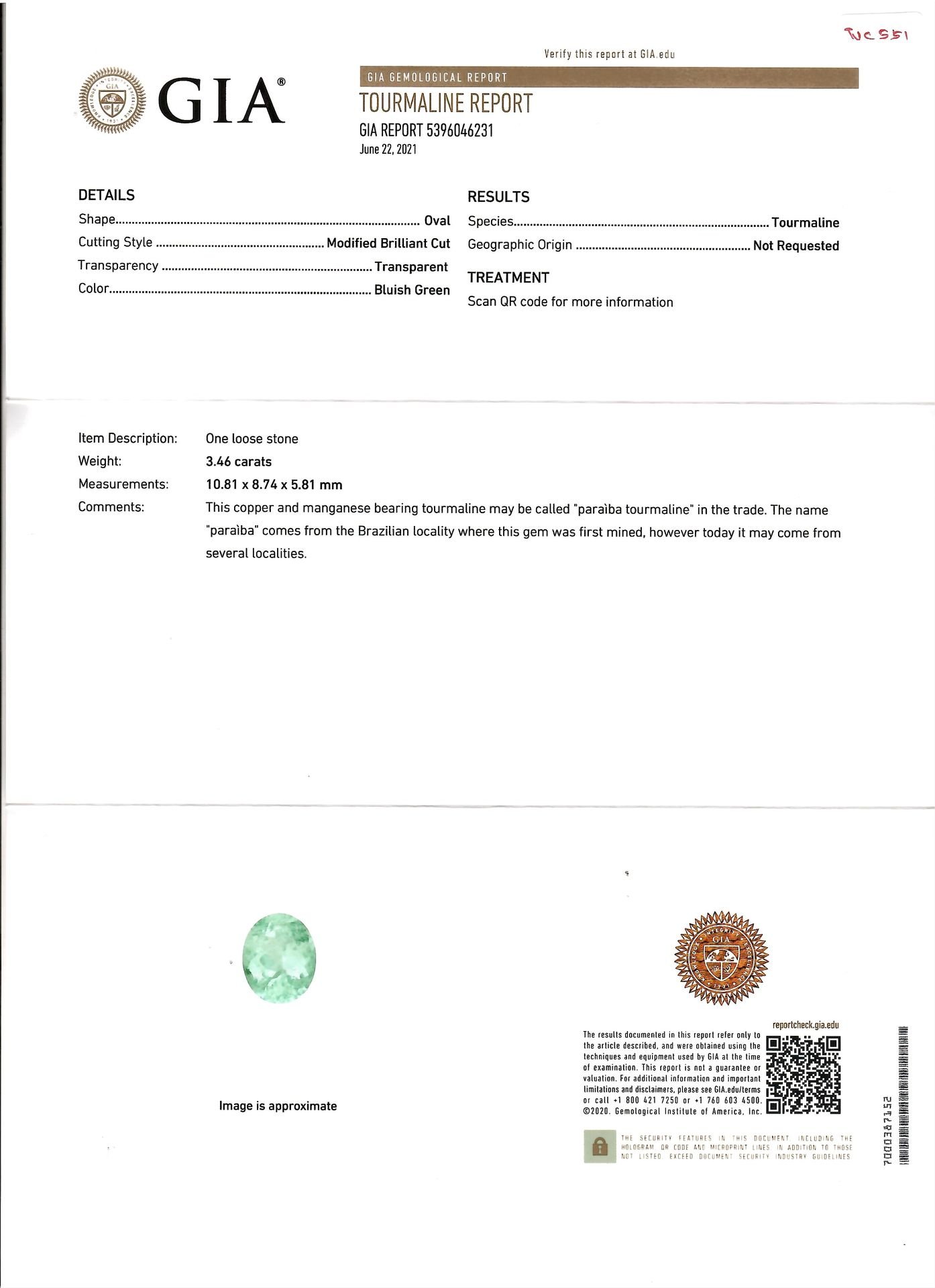 Pair of oval cut Paraiba tourmalines 7.03 ct, Mozambique Image №6