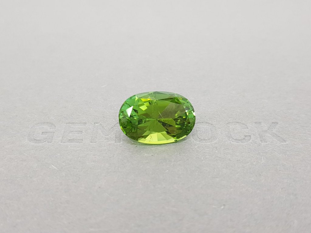 Verdelite oval cut 6.69 ct Image №2