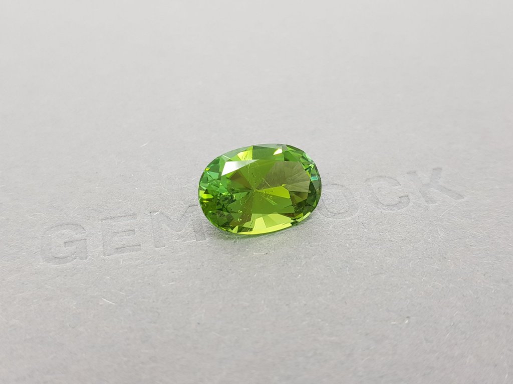 Verdelite oval cut 6.69 ct Image №3