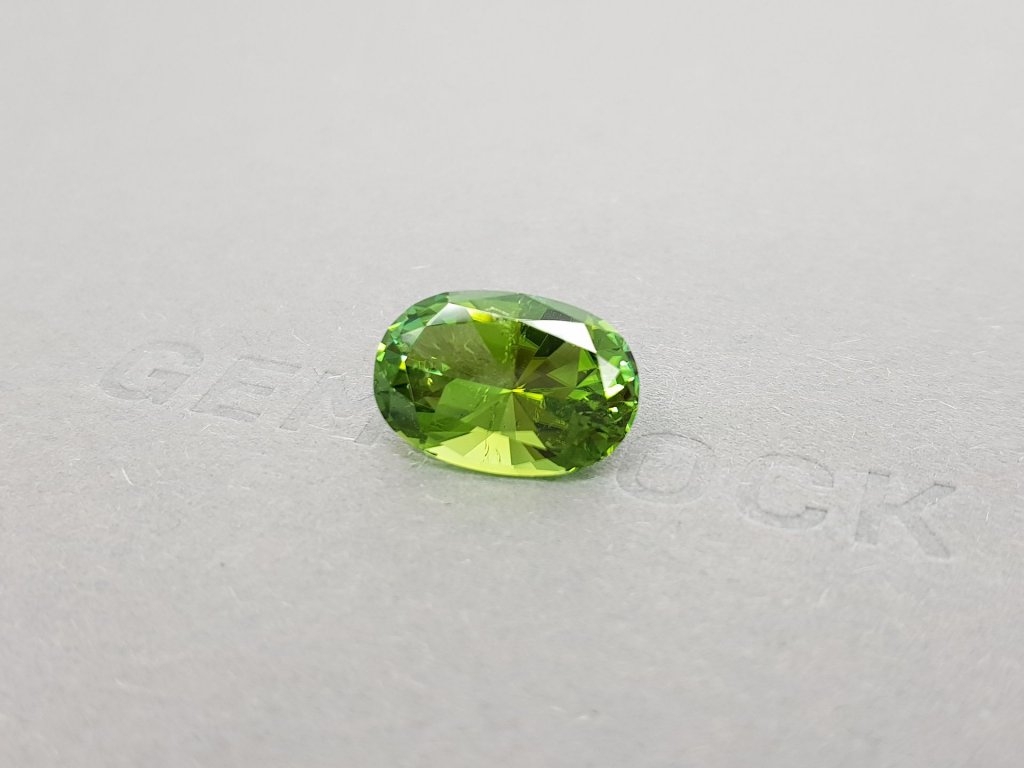 Verdelite oval cut 6.69 ct Image №4