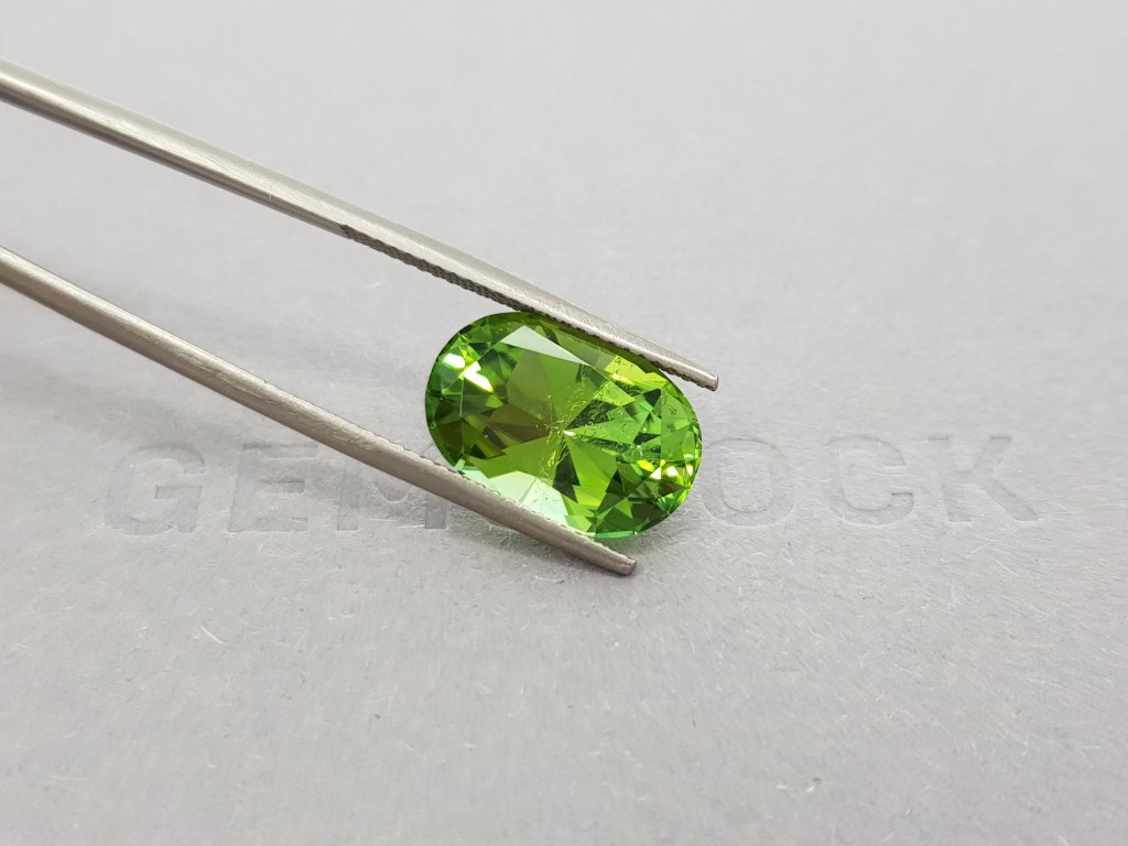 Verdelite oval cut 6.69 ct Image №5