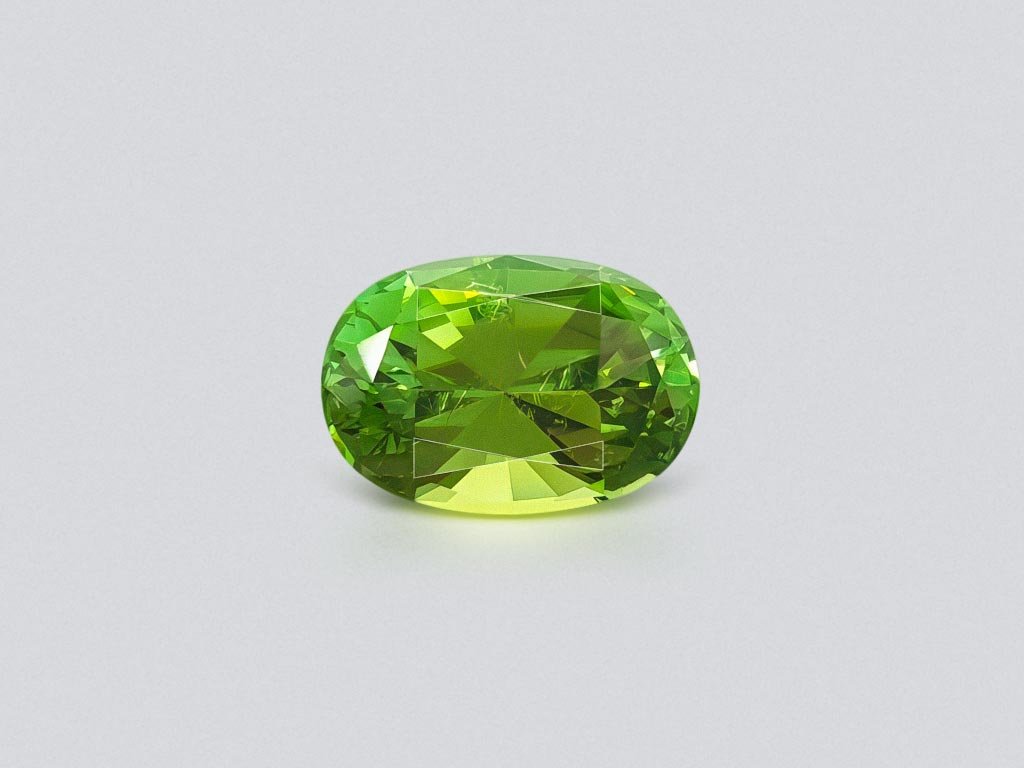 Verdelite oval cut 6.69 ct Image №1