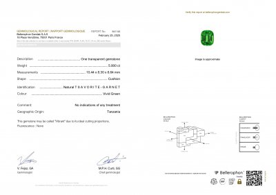 Certificate Garnet tsavorite Vibrant green cushion cut 5.00 carats, Tanzania 