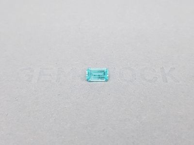 Pale blue paraiba octagon cut 0.56 ct photo