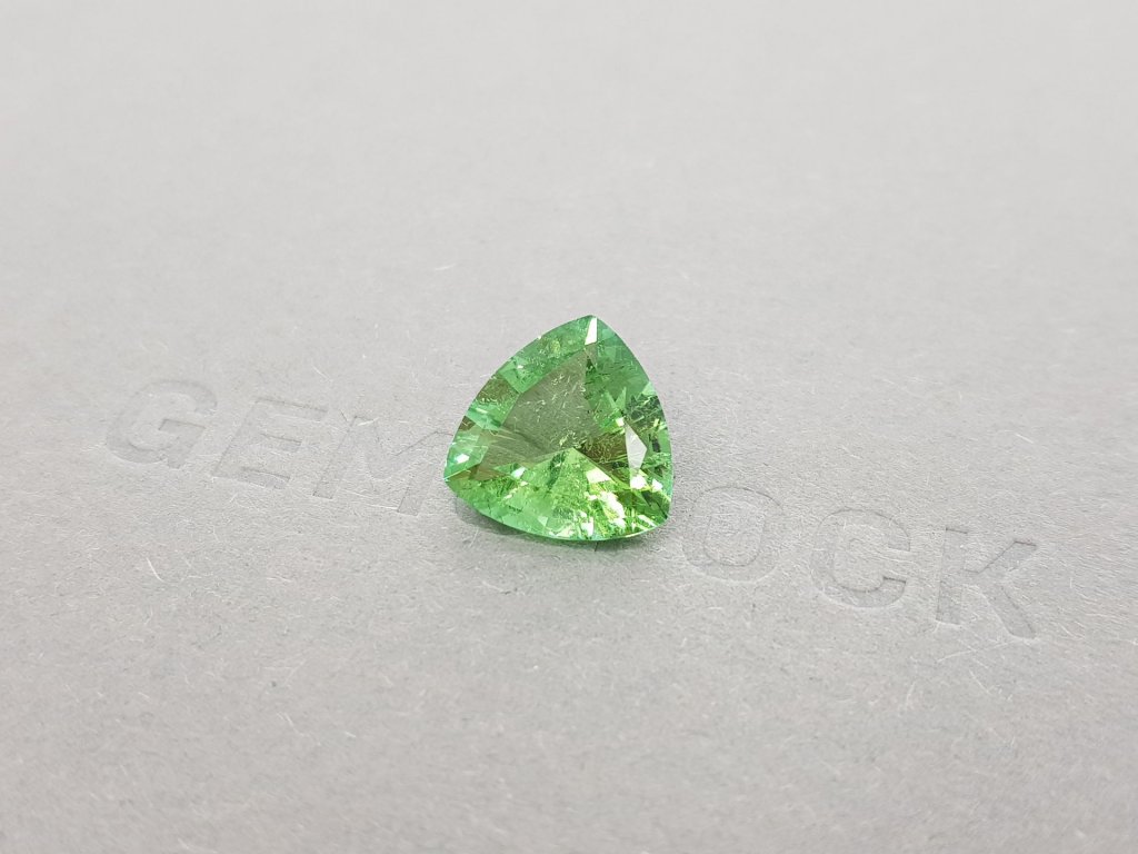Trillion cut tourmaline 4.36 carats Image №3