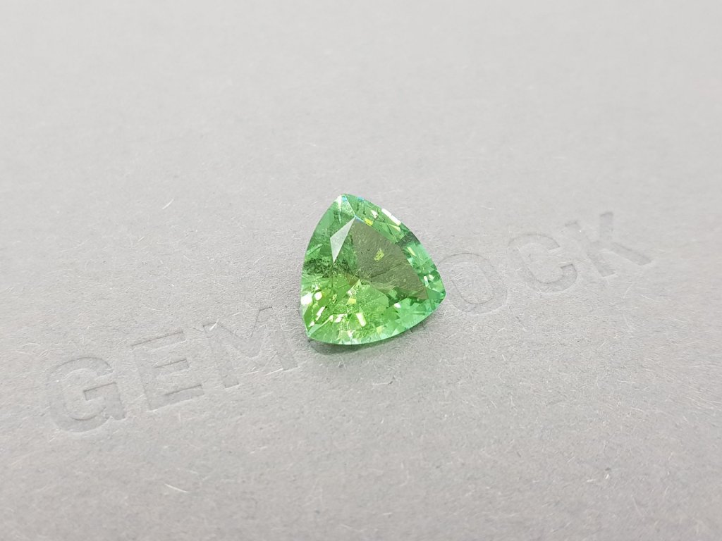 Trillion cut tourmaline 4.36 carats Image №2
