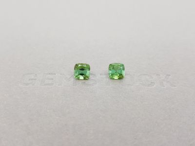 Pair of verdelite tourmalines 1.51 ct photo