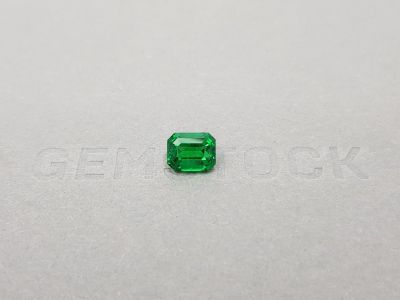 Octagon cut tsavorite garnet from Kenya 1.66 ct photo
