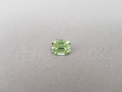Burmese mint green tourmaline in octagon shape 3.34 ct photo
