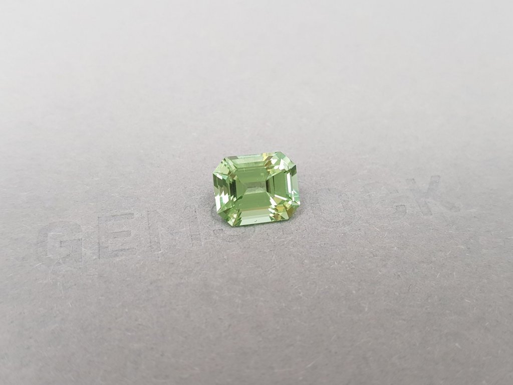 Burmese mint green tourmaline in octagon shape 3.34 ct Image №2