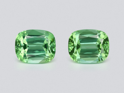 Pair of green tourmalines cushion cut 19.79 carats, Colombia photo